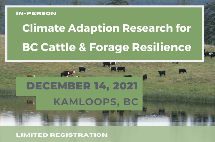Climate Adaptation Research for BC Cattle & Forage Resilience