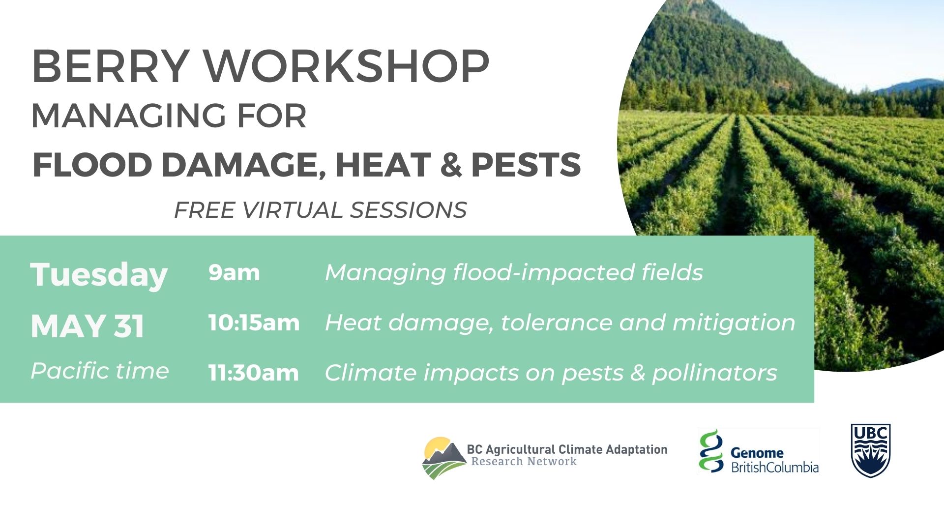 Berry Workshop: Managing for flood damage, extreme heat and pests